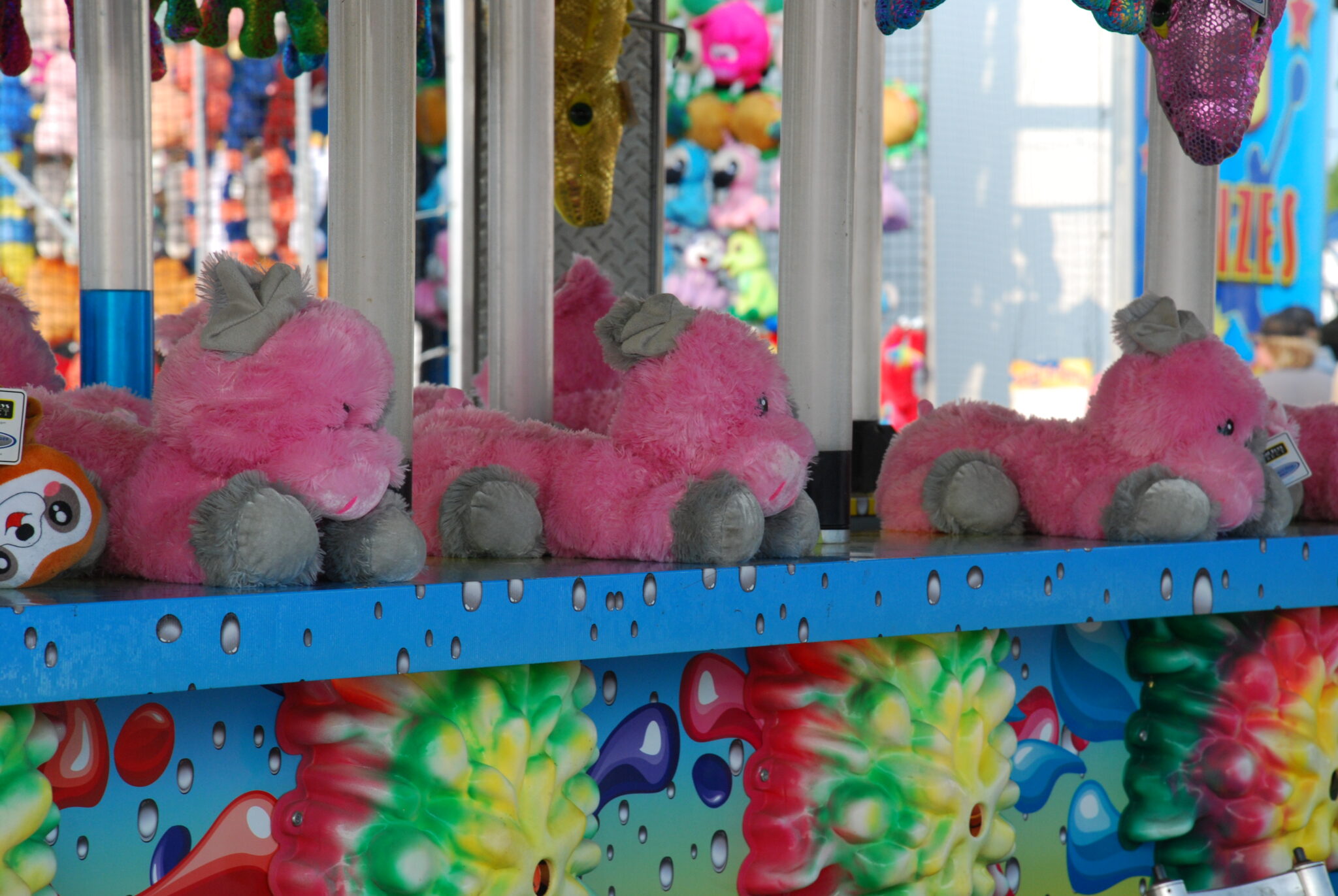 Pennington County Fair